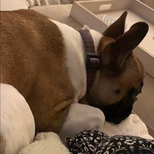 Meet your Posher, Émy-alexandra